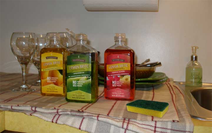 Melaleuca's EcoSense Lemon Brite dish liquid